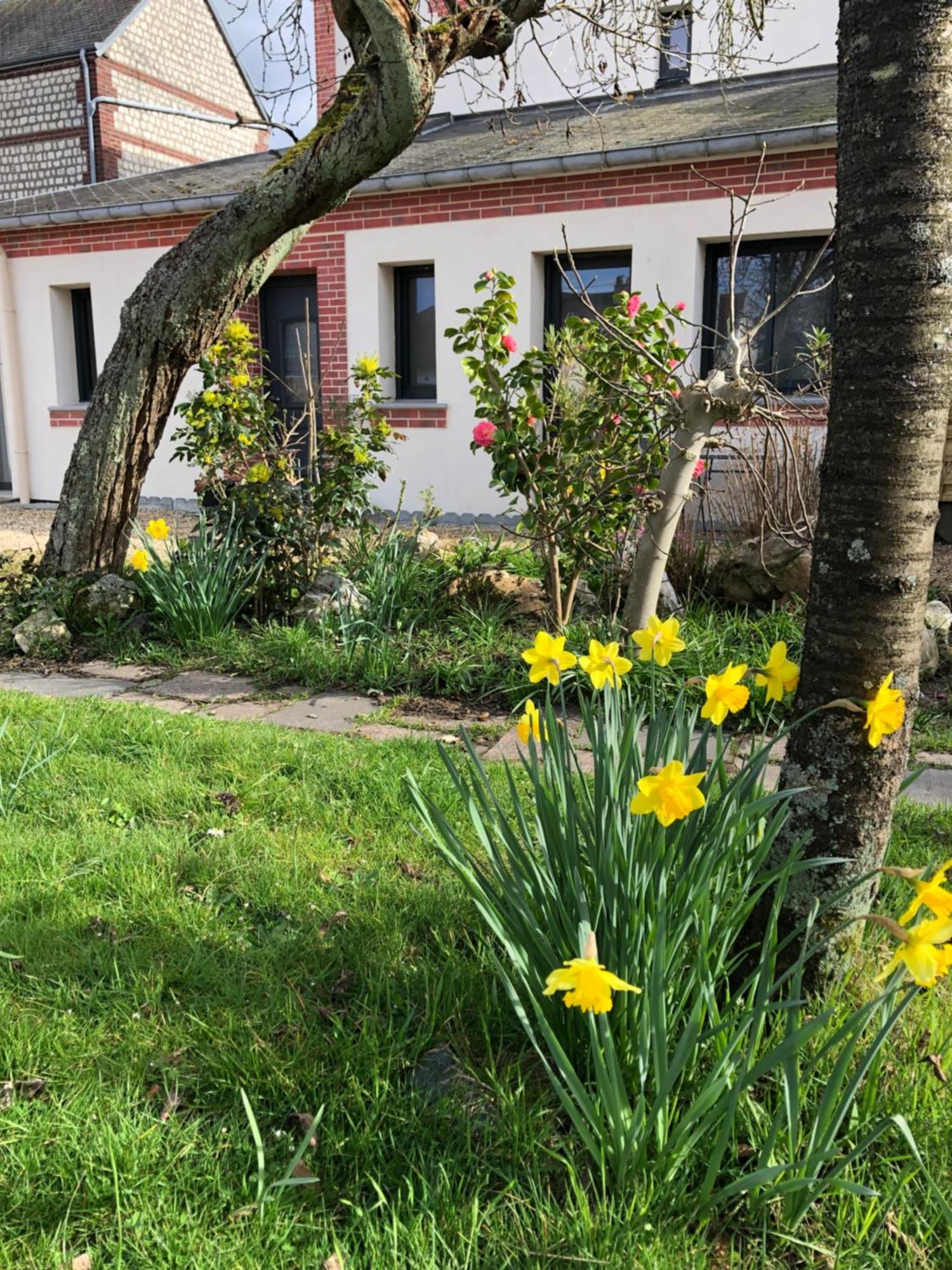 Les Cles D'A Cote - Maison D'Hotes De Charme Pres De Rouen Sotteville-les-Rouen Ngoại thất bức ảnh